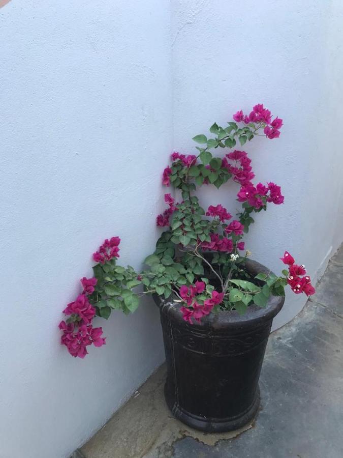 Urbanlife Keetmanshoop Accommodation מראה חיצוני תמונה