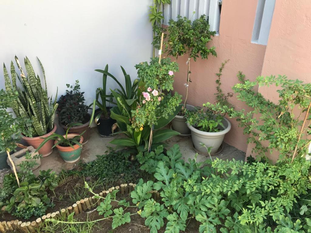 Urbanlife Keetmanshoop Accommodation מראה חיצוני תמונה